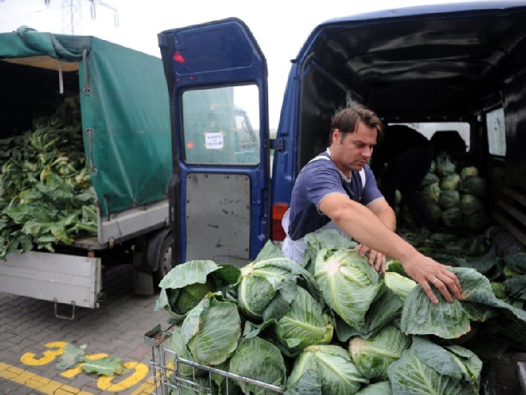 Bronisze: tanie warzywa, duża oferta owoców sezonowych